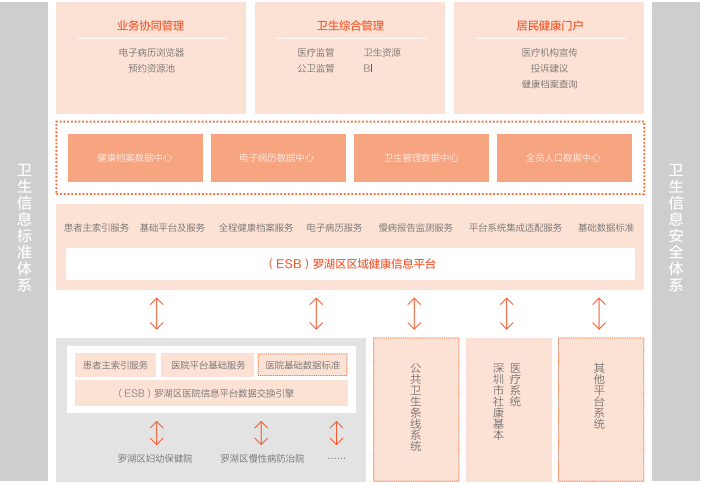 深圳市罗湖区区域健康信息化项目.png